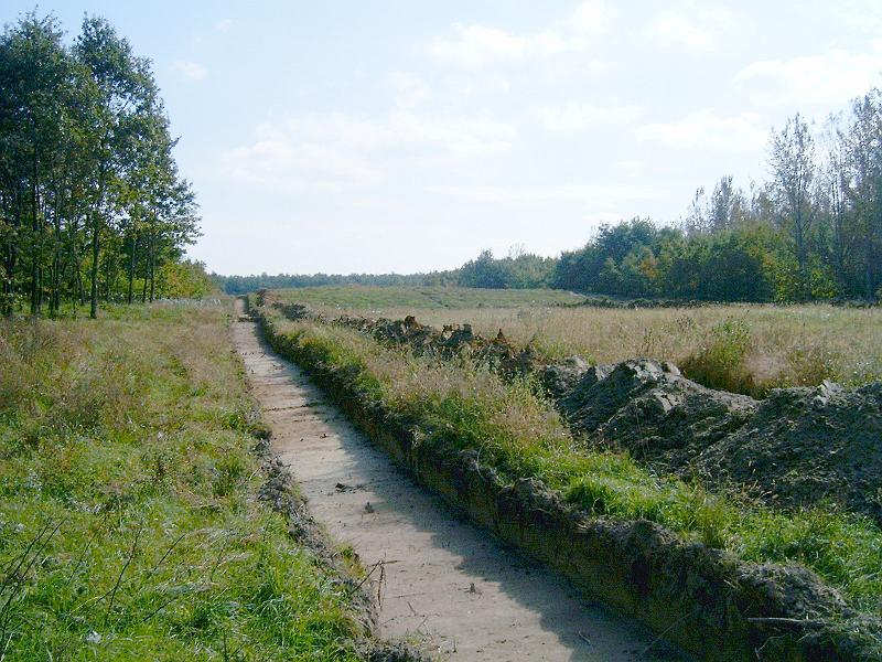 2010.10.10. 050.jpg